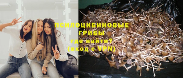хмурый Белоозёрский