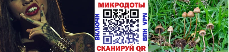 Галлюциногенные грибы GOLDEN TEACHER  где найти   Волжск 